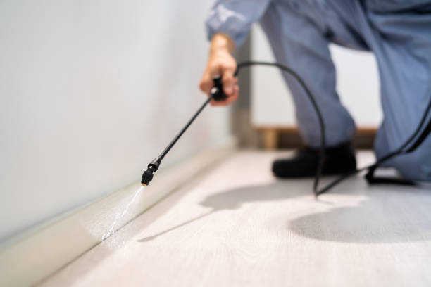 Licensed Termite Control service in Harrison County County, TX - Nex Pest Control