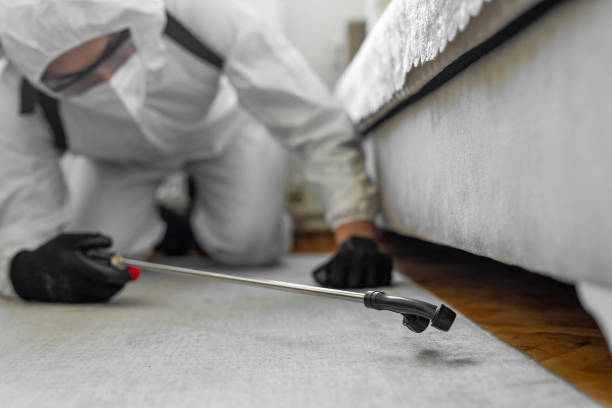 Professional Termite Control technician working in Harrison County County, TX